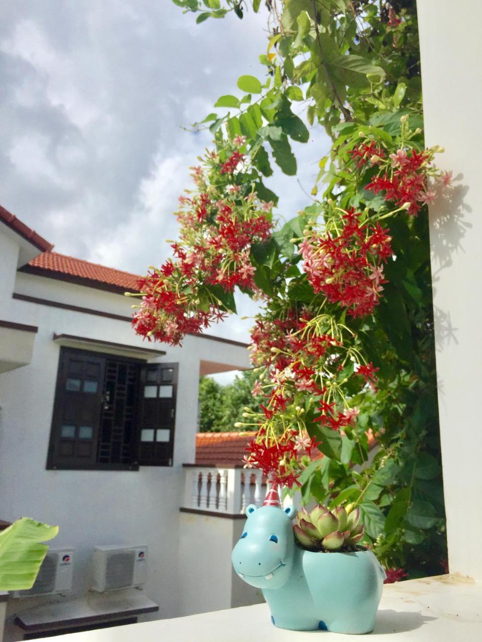 Holy Land Homestay Hội An Ngoại thất bức ảnh