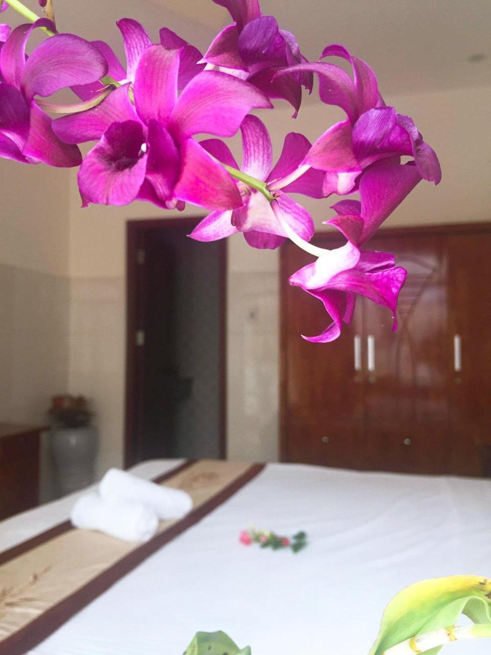 Holy Land Homestay Hội An Ngoại thất bức ảnh