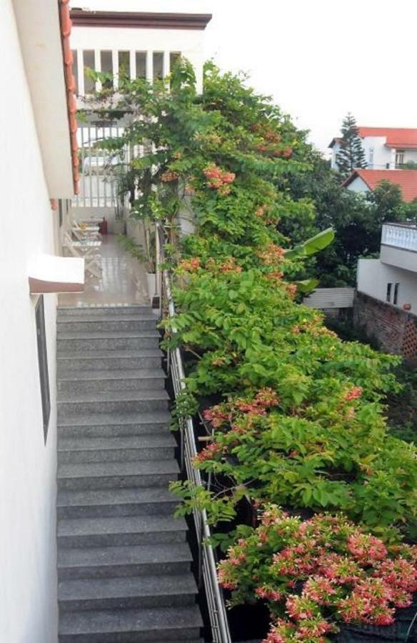 Holy Land Homestay Hội An Ngoại thất bức ảnh